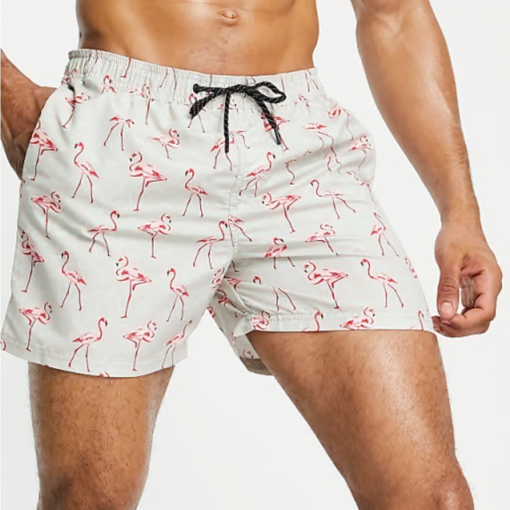 H&M Pink Flamingo Swim Trunks